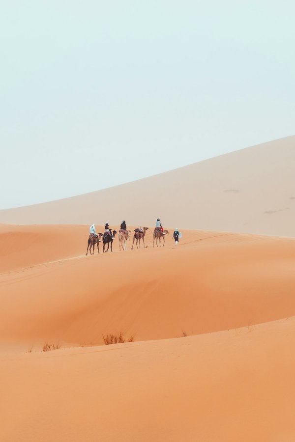 Quels sont les meilleurs itinéraires pour un trek dans le désert de Gobi, Mongolie?